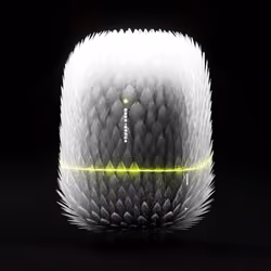 Capsule_31