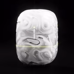 Capsule_26