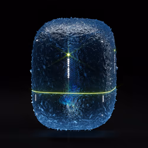Capsule_5