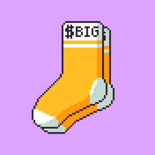 $Big Socks #258