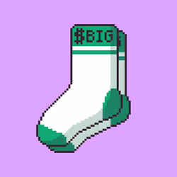$Big Socks #17