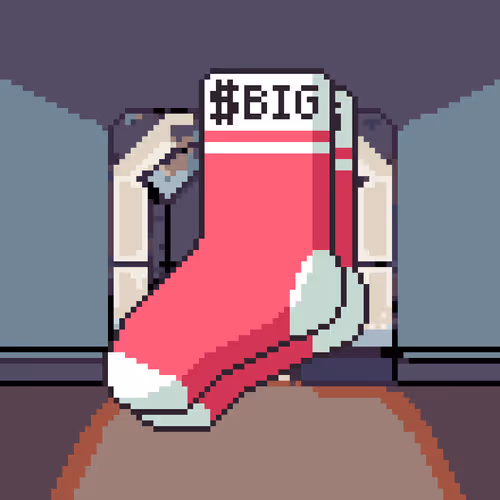 $Big Socks #460