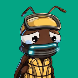 ROACH #806
