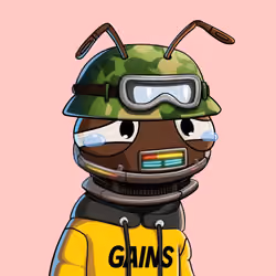 ROACH #2445