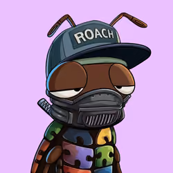 ROACH #960