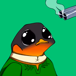 Pengztracted #6662