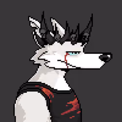 The Wolves #626