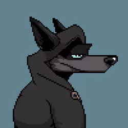 The Wolves #1221