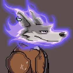 The Wolves #1204