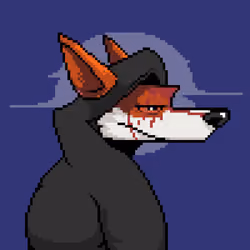The Wolves #1219