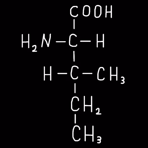 Isoleucine