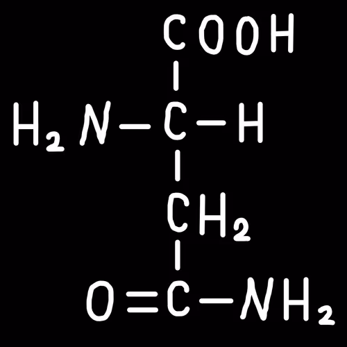 Asparagine