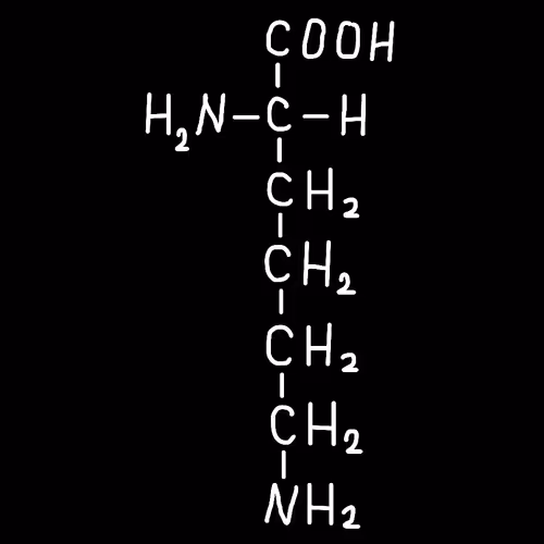 Lysine