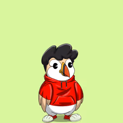Bosko Puffin