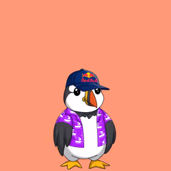 66
