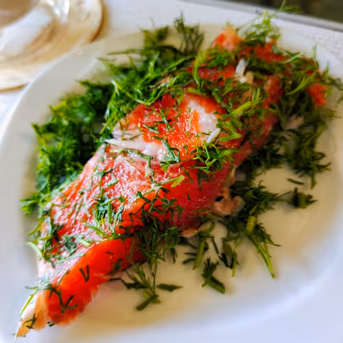 Gravlax 2.0 — Neural Dill Edition