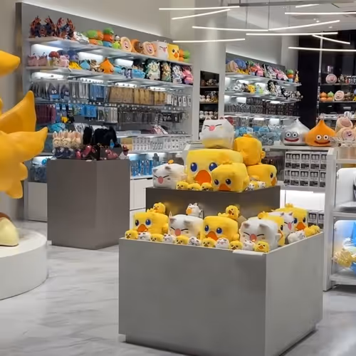 DUCK STORE