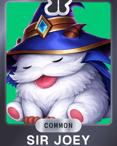Sir Joey Common Card