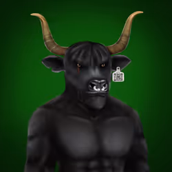 Scarred Bull #522