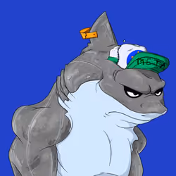 MetaShark #572