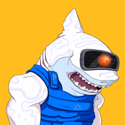 MetaShark #568