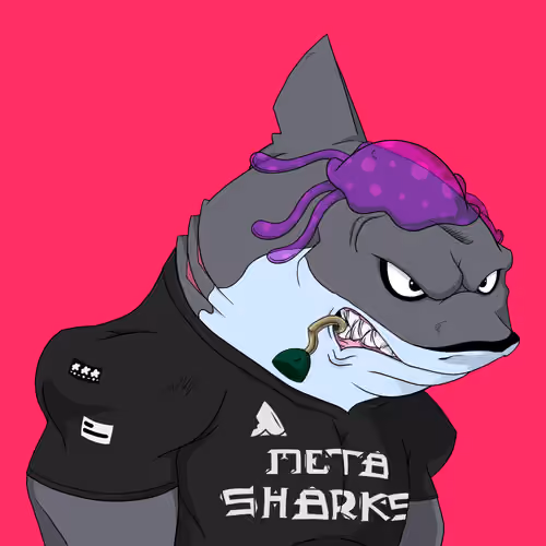 MetaShark #963