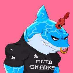 MetaShark #2464