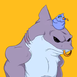MetaShark #138