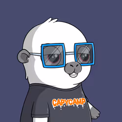 CapyCamp #1282