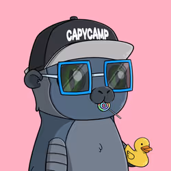 CapyCamp #681