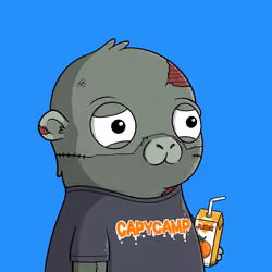 CapyCamp #1624