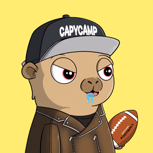 CapyCamp #979