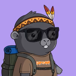 CapyCamp #3277