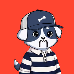 Woofu #1682