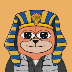 Bearyz #475