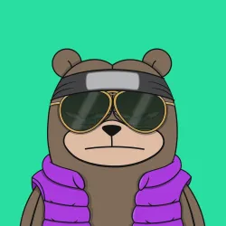 Bearyz #1308