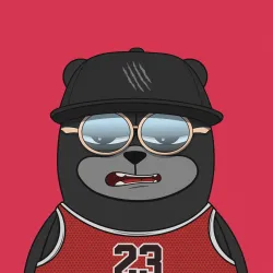Bearyz #1848
