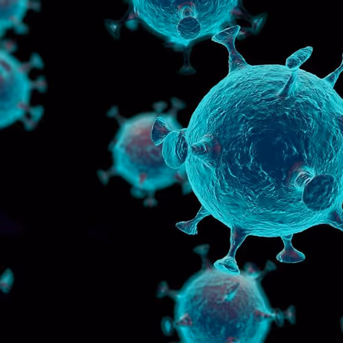 virus
