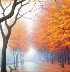 项目媒体占位符