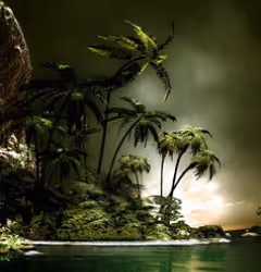 项目媒体占位符