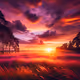 peaceful sunset over field