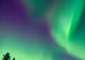 aurora