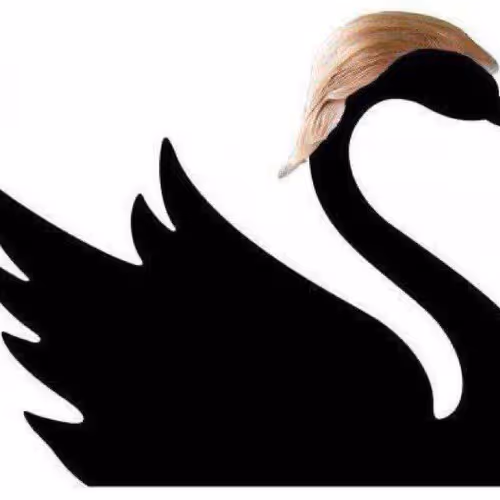 Red Swan