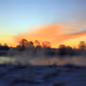 Frozen Dawn
