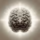 Expanding Brain