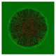 Green_World