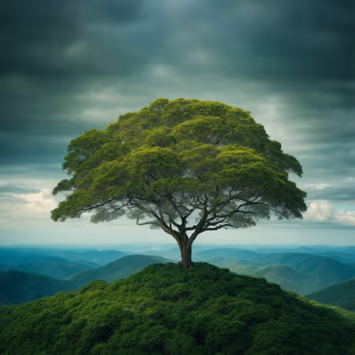 Abstract Tree