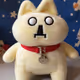 Doc Cat