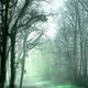 HashFables