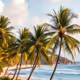 tropical vibe